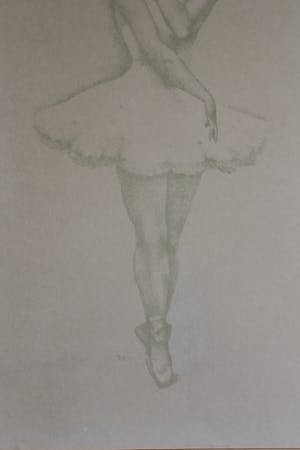 John Raedecker - Ballerina kopen? Bied vanaf 20!