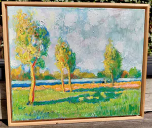 Toon Hermans - Haarlemmermeerpolder, olieverf op doek (netjes ingelijst) kopen? Bied vanaf 1495!