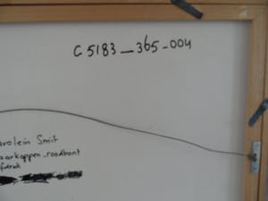 Carolein Smit - Carolien Smit kopen? Bied vanaf 100!