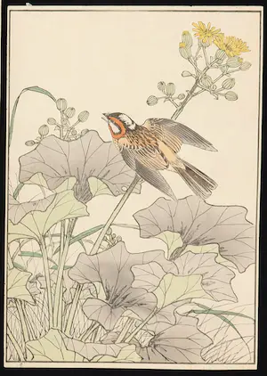 Imao Keinen - Twee Japanse prenten van vogels kaufen? Bieten Sie von 90!