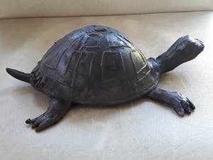 Adri de Waard - Bronzen schildpad van beeldhouwer Adri de Waard. kopen? Bied vanaf 55!