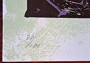 Rik van Iersel - Storyteller - Kleurenlitho - Geschept papier - Nieuwstaat kopen? Bied vanaf 1!