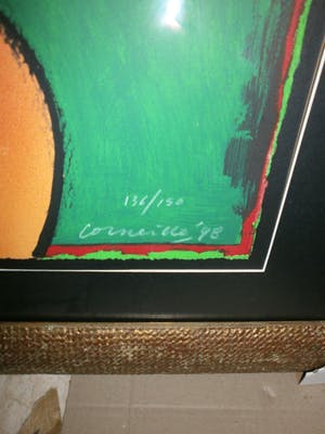 Corneille - Oiseau sur tete [ nieuw ingelijst] kopen? Bied vanaf 449!