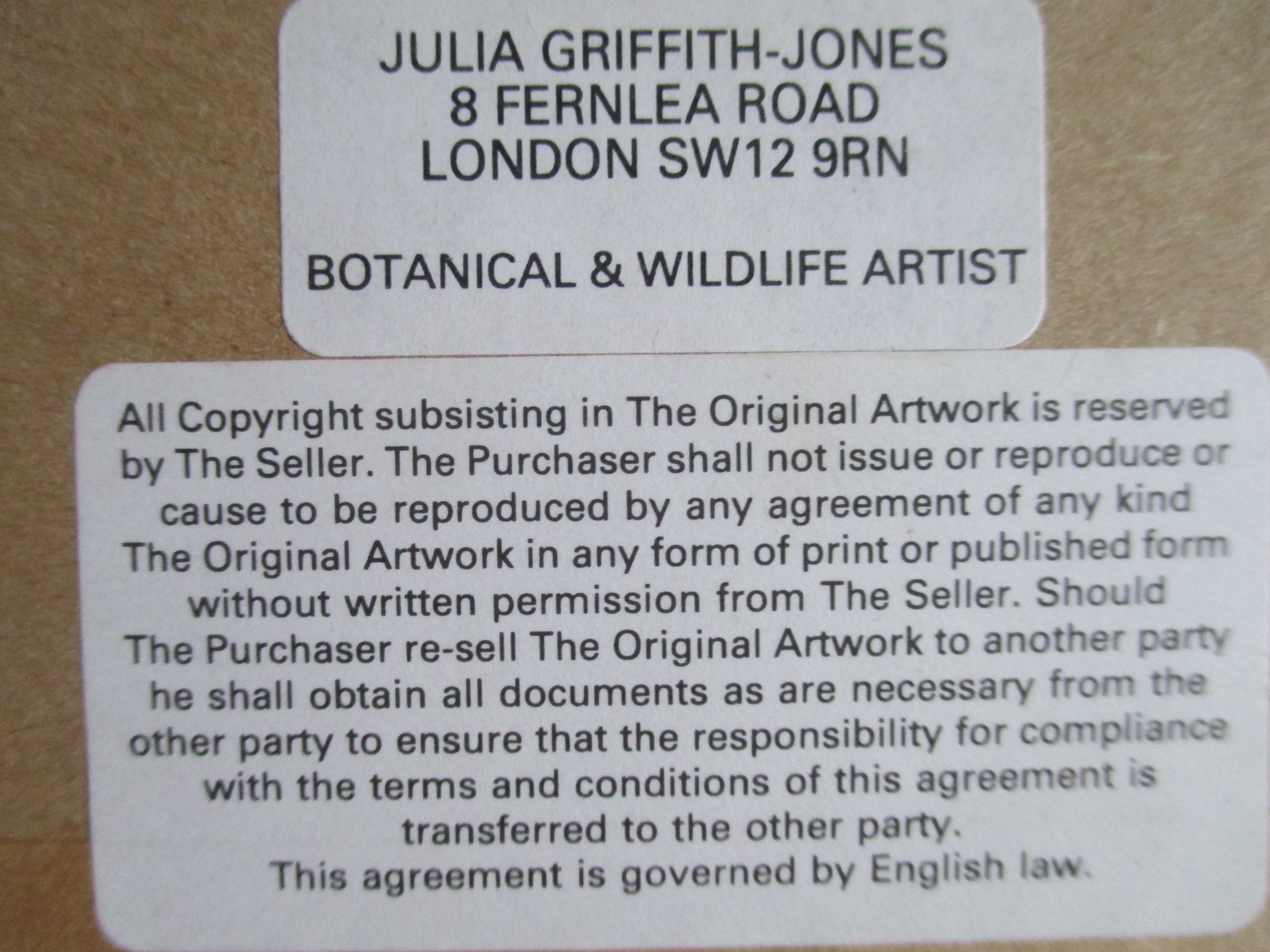 Julia Griffith-Jones - Gouache "Trumpet Lily Royal Gold" kopen? Bied vanaf 1!