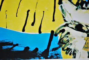 Herman Brood - Tijger - zeefdruk kopen? Bied vanaf 50!