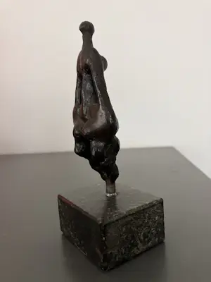 Joep Coppens - Venus kopen? Bied vanaf 159!