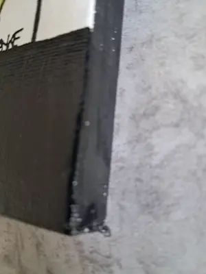 Anke Peddemors - WC 2026 even rust kopen? Bied vanaf 33!