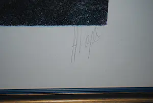 Astrid Engels - Song of Eva - prachtig ingelijst - incl. gesigneerd boek kopen? Bied vanaf 100!