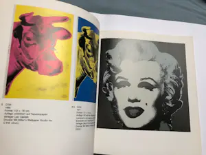 Andy Warhol - Das Graphische Werk 1962-1980 kopen? Bied vanaf 35!