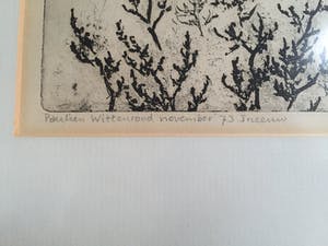 Paulien Wittenrood - Sneeuw kopen? Bied vanaf 10!