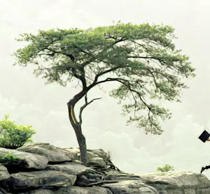 Mr Strange - Ja, dat kan ik. kopen? Bied vanaf 80!