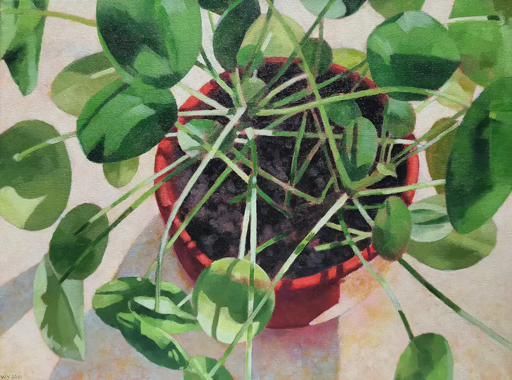 Willem Visser (1956)