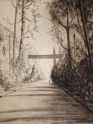 Ronald Tolman - Ets Dov´e Pier Paolo Pasolini? kopen? Bied vanaf 69!