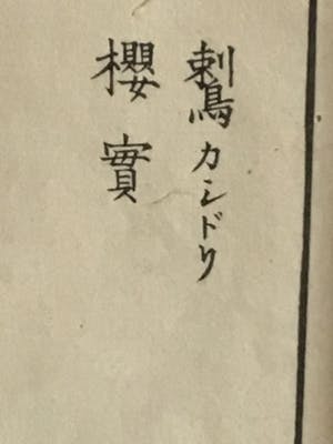 Niet of onleesbaar gesigneerd - Twee Chinese schilderijen met vogels kopen? Bied vanaf 10!