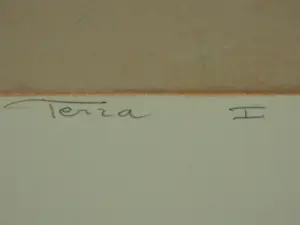 Ron van der Werf - Terra I kopen? Bied vanaf 50!