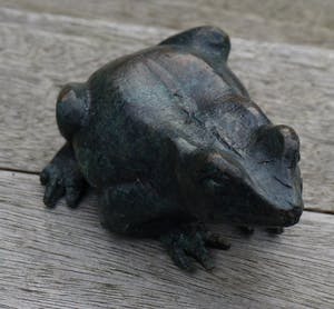 Astrid Veldhuyzen-Koppen - kikker kopen? Bied vanaf 15!