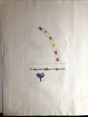 Harrie Gerritz - Mijn liefste kleur - Kleurets kopen? Bied vanaf 55!