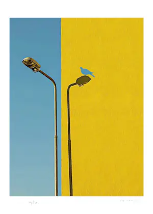 Mr Strange - De blauwe vogel kopen? Bied vanaf 85!