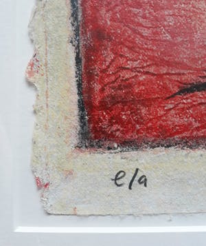 Hans Innemee - Ooievaarskuiken, zeefdruk (mooi ingelijst) kopen? Bied vanaf 195!