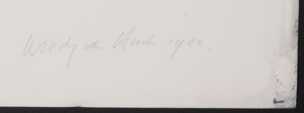 Woody van Amen - Zeefdruk, Capo di tutti kopen? Bied vanaf 1!