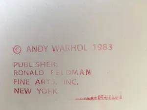 Andy Warhol - African Elephant uit de serie Endangered Species - Ingelijst (Groot) kopen? Bied vanaf 1!