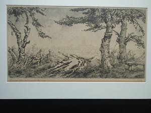 Toon de Jong - BASILIEK ST.JAN GEZIEN VANAF DE ENG kopen? Bied vanaf 65!