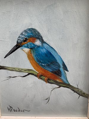 Henk Poeder - Iksvogel kopen? Bied vanaf 79!