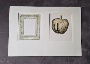 Kees Franse - Twee (2) eigen druk litho's "sierlijst" en "appel" beperkte oplage (50 en 72) kopen? Bied vanaf 37!