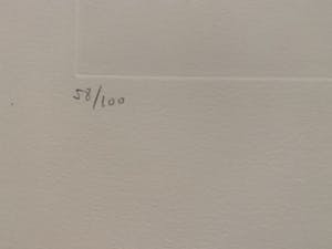 Leonor Fini - La Sorcière sur le Balai kopen? Bied vanaf 35!