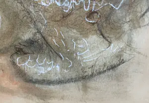 Emiel Verlinde - Koppen kopen? Bied vanaf 68!