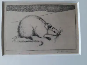Jan Mankes - Originele Heliogravure Muis 1923 kopen? Bied vanaf 100!