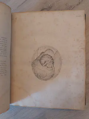 Antiquarisch Boek - 1800 Phytologia or Philosophy of Agriculture by Erasmus Darwin kopen? Bied vanaf 130!