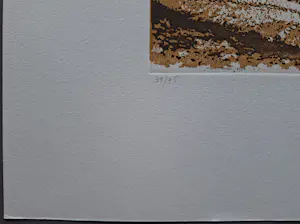 Buy Simon Koene - gesigneerde ets? Bid from 79!