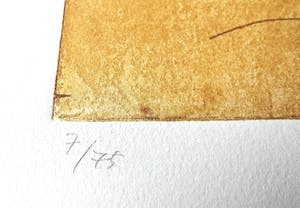 Duck Sung Kang - kleuren ets in heldere kleuren op Arches. kopen? Bied vanaf 1!