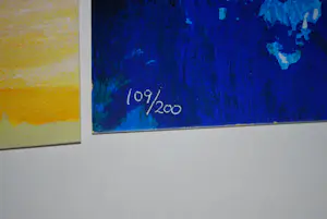 Hans Vanhorck - About Colour: luxe box met 4 zeefdrukken/2 boeken kopen? Bied vanaf 125!