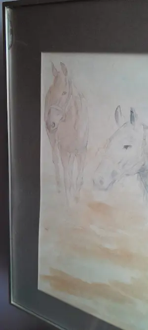 Wilhelmina Barbe-Van Gucht - Grote realistische aquarel - Paarden kopen? Bied vanaf 300!