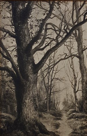 Niet of onleesbaar gesigneerd - landscapes kopen? Bied vanaf 1!