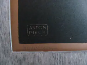 Anton Pieck - Passiebloemen kopen? Bied vanaf 75!