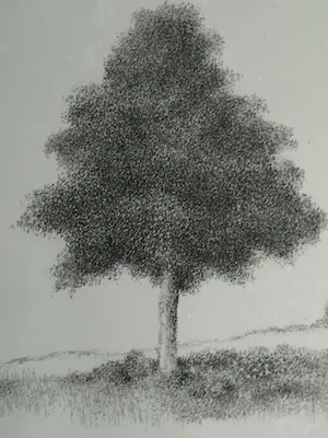 Metten Koornstra - 3 Originele drukplaten voor de litho-drukpers – ca. 1970 (2x) en 1975 kopen? Bied vanaf 50!