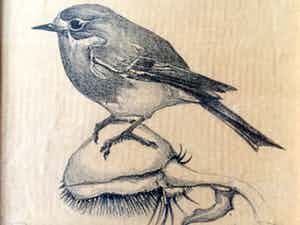 Chris Le Roy - Roodborstje - Lithografie, Ingelijst verkocht voor € 55!