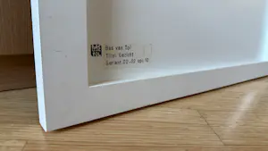 Bas van Tol - Gezicht kopen? Bied vanaf 100!