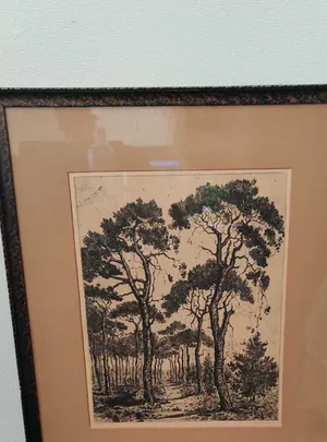 Suze de Lint - Eigendruk ets kopen? Bied vanaf 29!