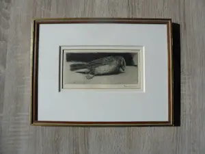 Poppe Damave - Ets, Dode mus. kopen? Bied vanaf 35!