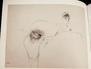 Hans Bellmer - The Drawings of Hans bellmer kopen? Bied vanaf 20!