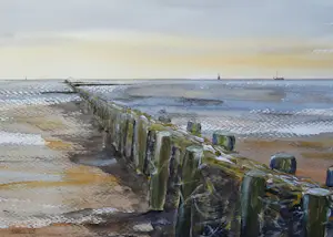 Franklin Meijer - Friese Waddenkust kopen? Bied vanaf 59!