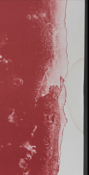 Armando - Litho, Der Kopf Rot (Zeer groot!) kopen? Bied vanaf 1!