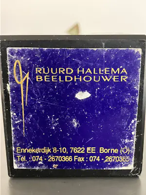 Ruurd Hallema - Adieu kopen? Bied vanaf 209!