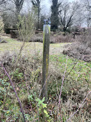 John Spek - zeer vrolijk beeld van twee bronzen vogels op een hoge dunne sokkel van steen kopen? Bied vanaf 400!