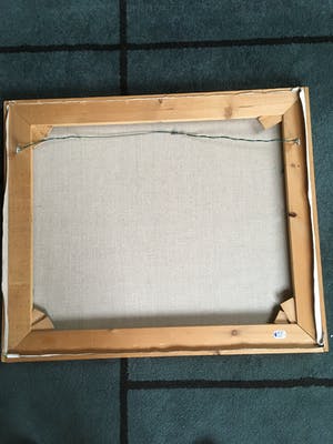 Wim van der Veer - Fries landschap kopen? Bied vanaf 100!