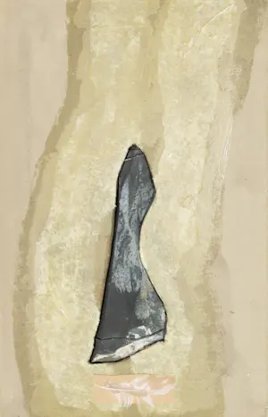 Peter Dejong - Boekobject in gemengde techniek, One stone and eleven feathers kopen? Bied vanaf 1!